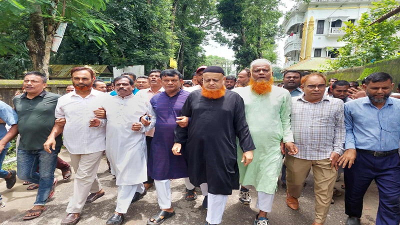 নাগরপুরে রবিউল আওয়াল লাভলুর গণসংযোগ